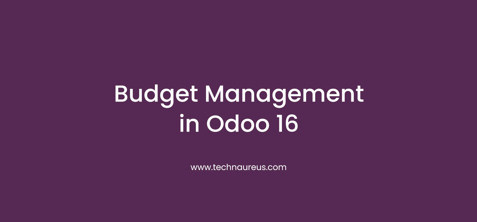 Budget Management in Odoo 16