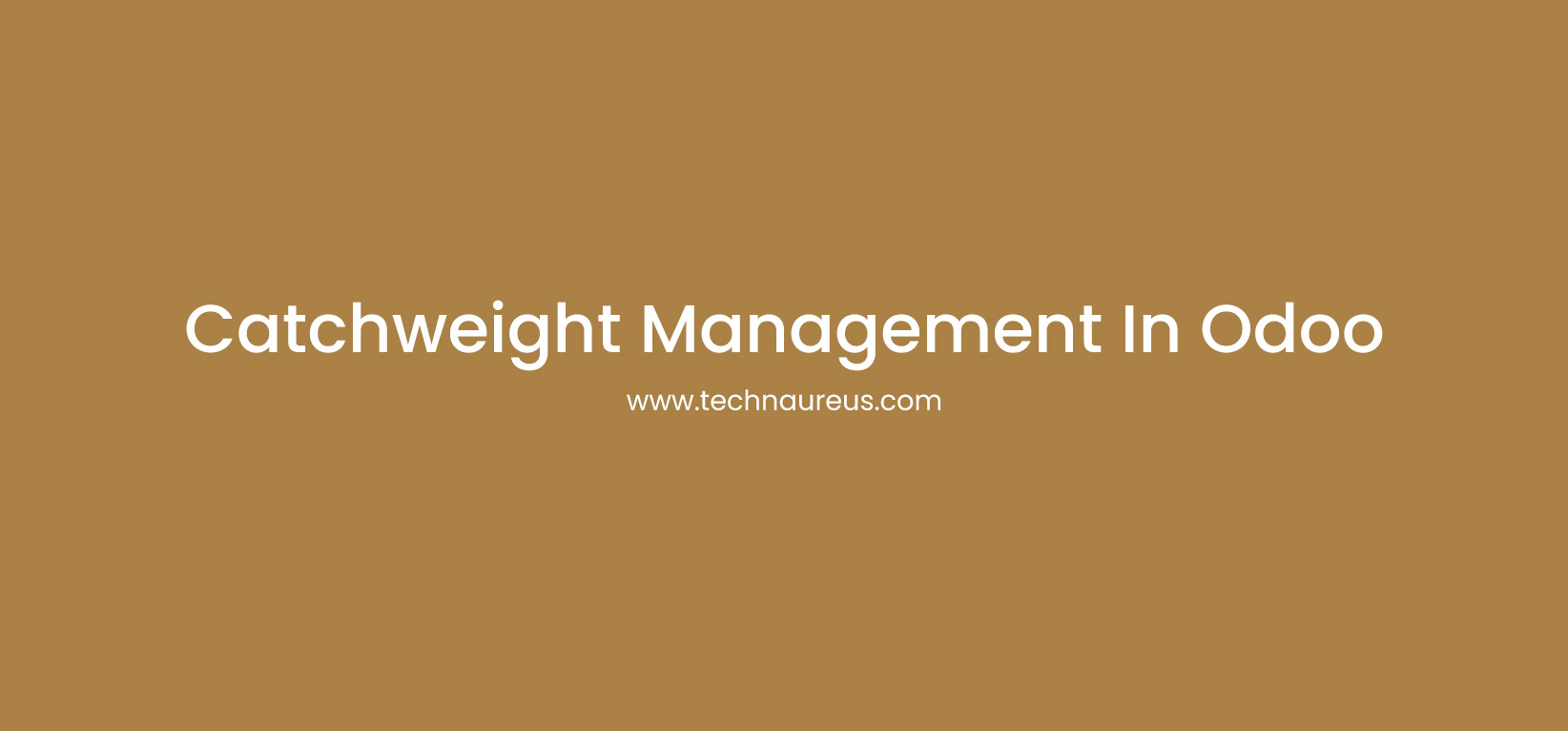 catchweight management in odoo
