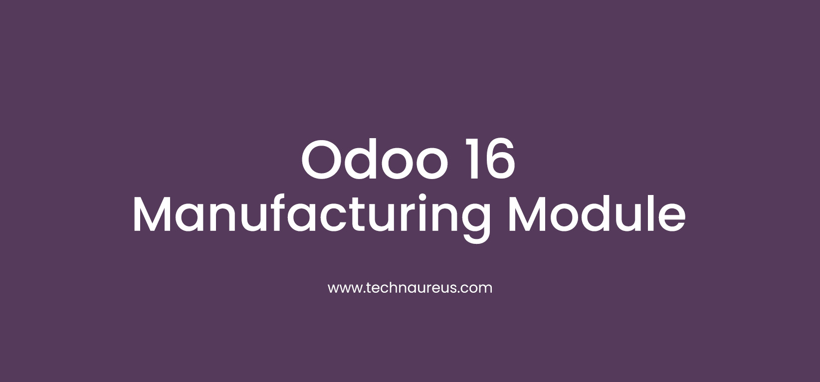 Odoo 16 Manufacturing Module