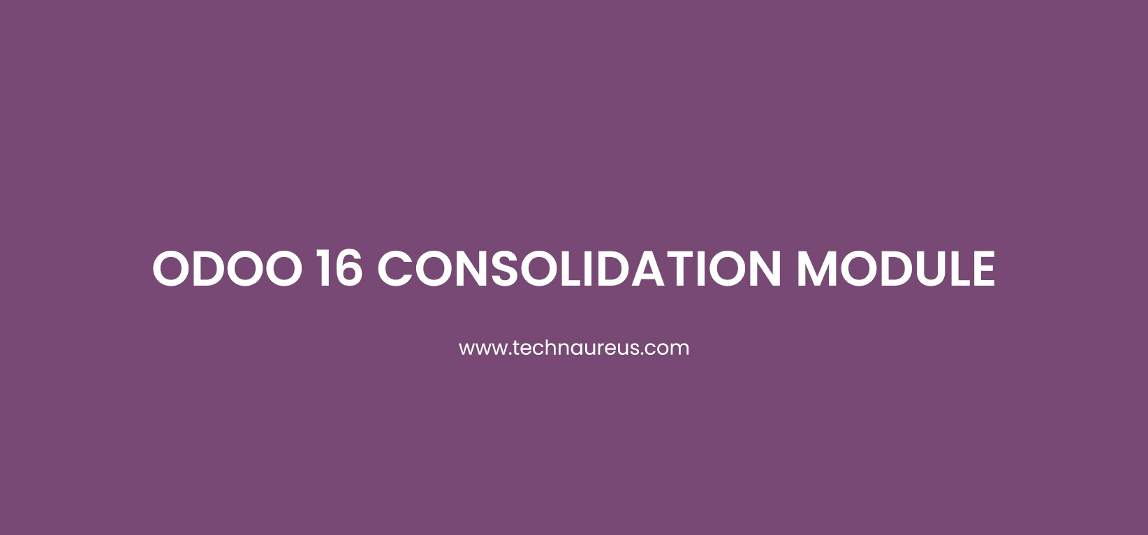 Odoo 16 Consolidation module