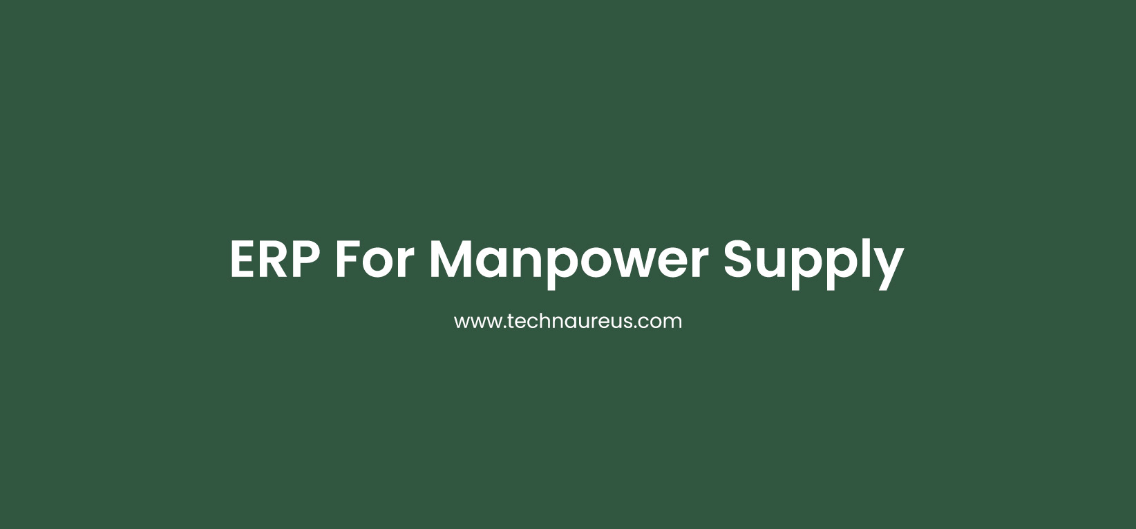 ERP For Manpower Supply