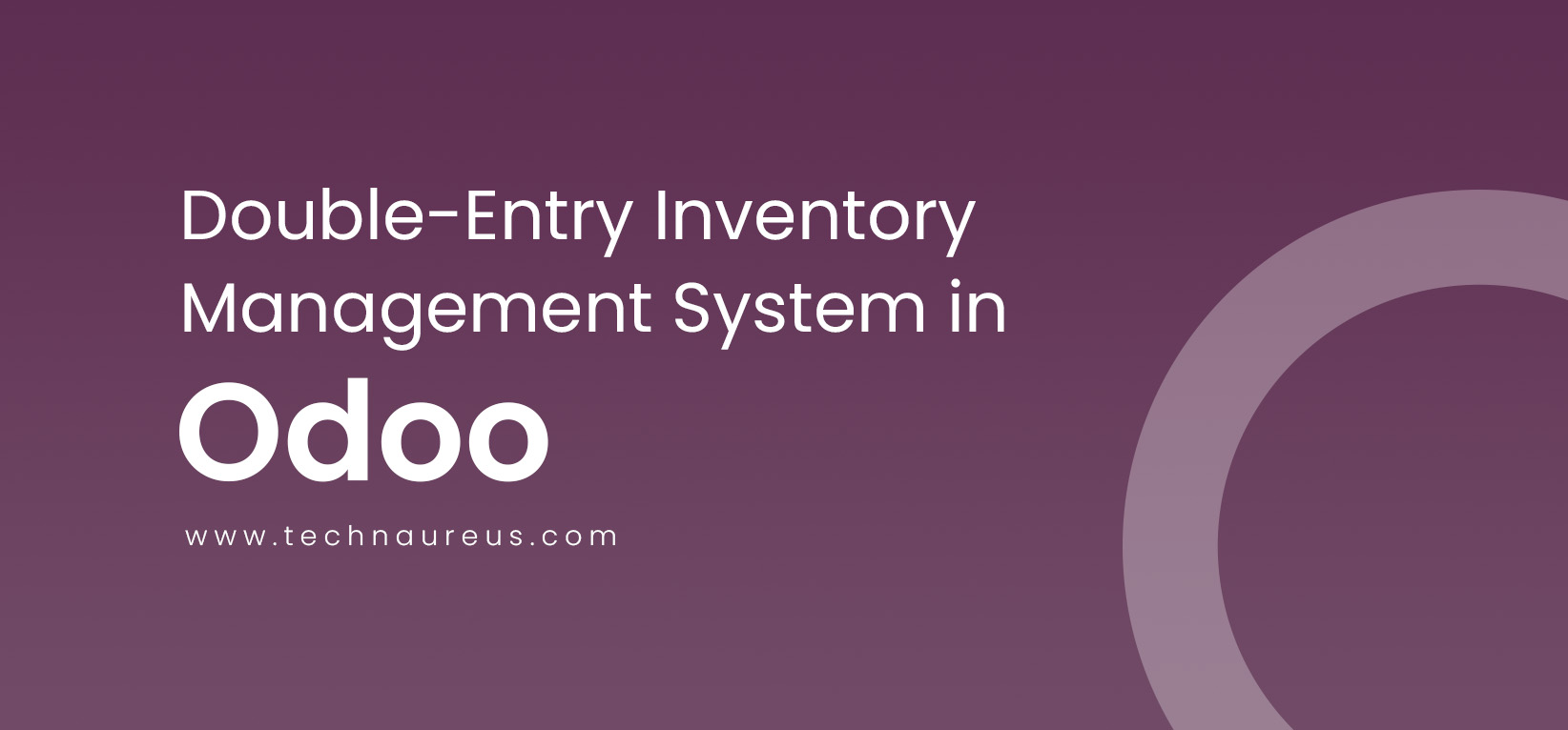 Double-Entry Inventory Management System in Odoo - Image