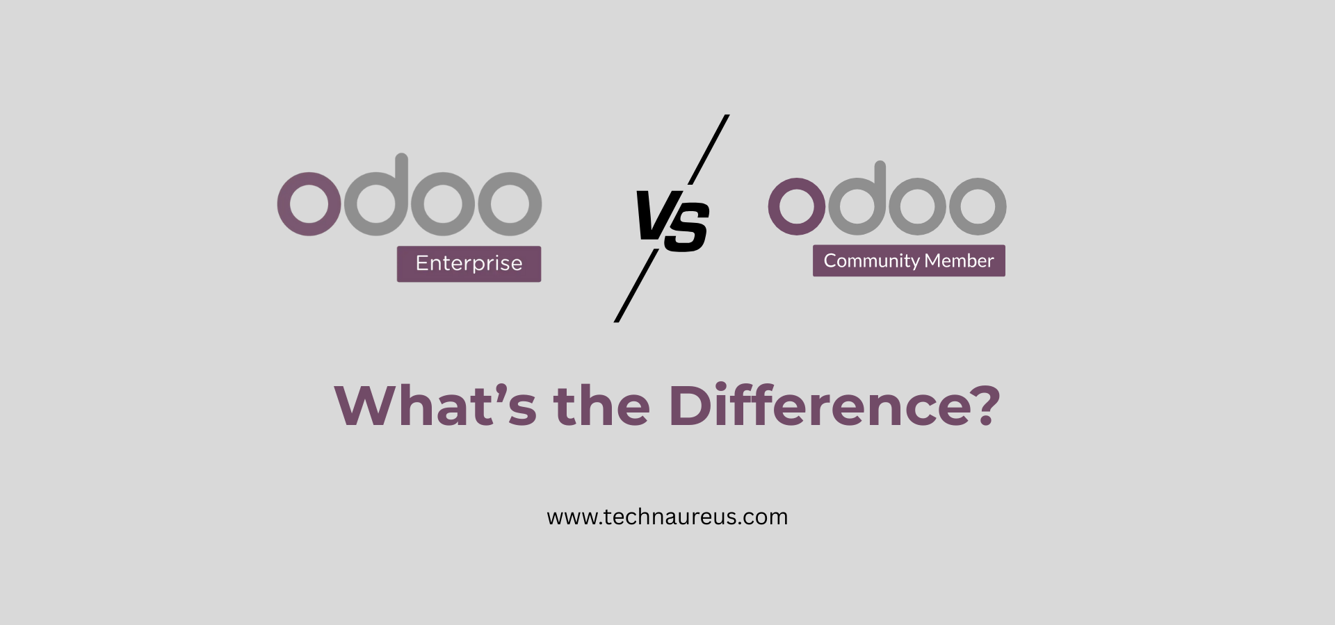 Odoo 18 Enterprise vs Community Edition: What’s the Difference - Image
