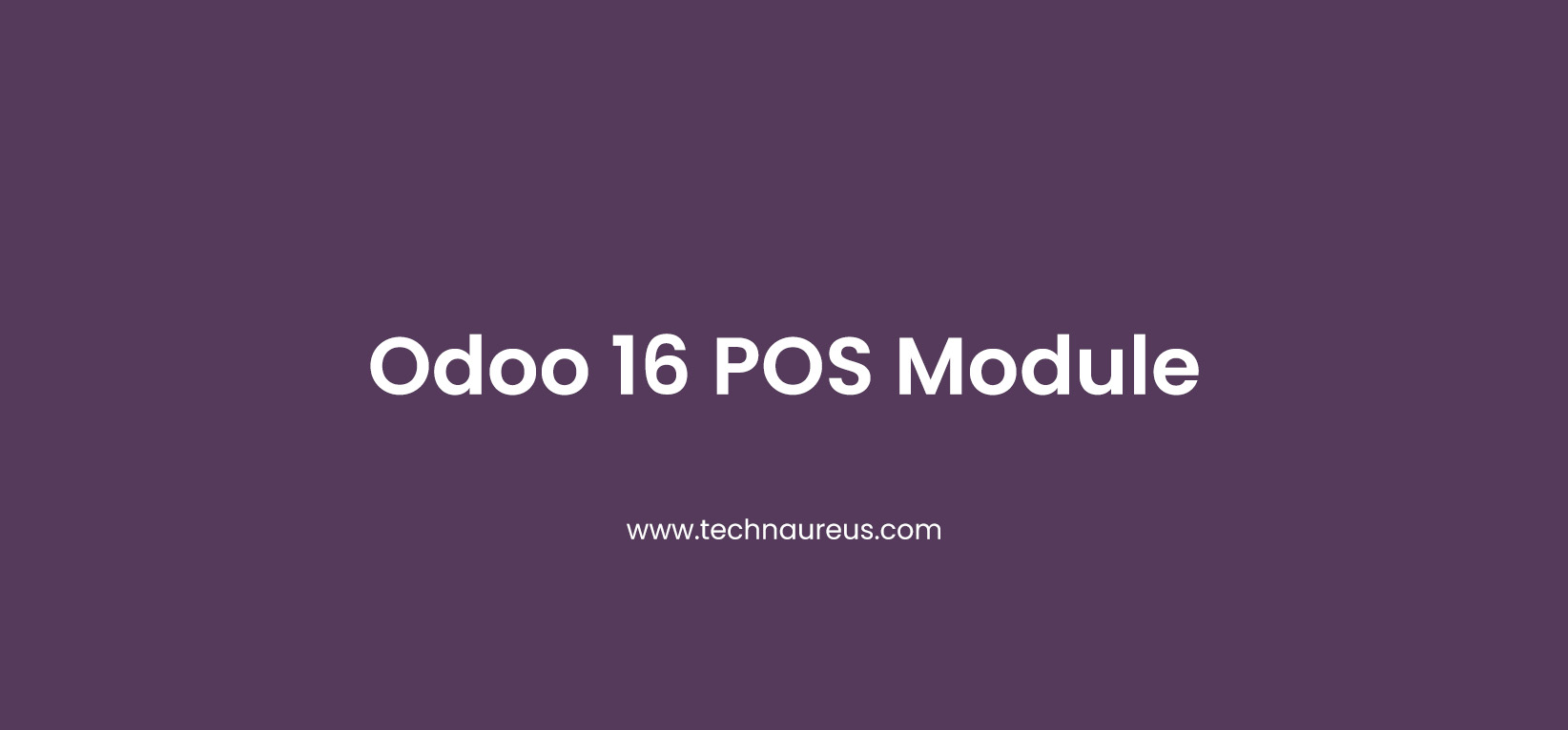 Odoo 16 POS module