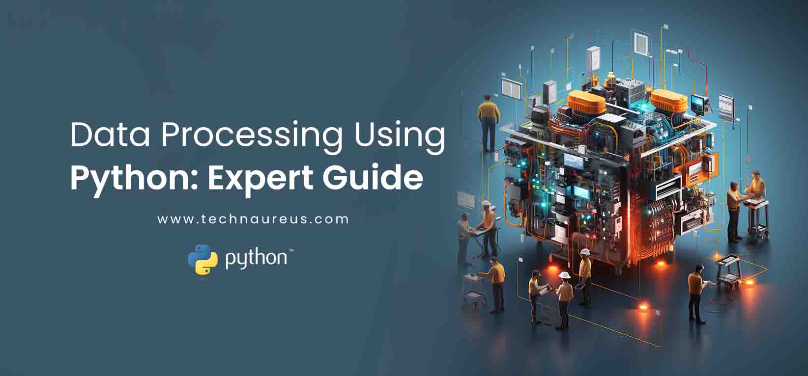 Data Processing Using Python - Banner Image