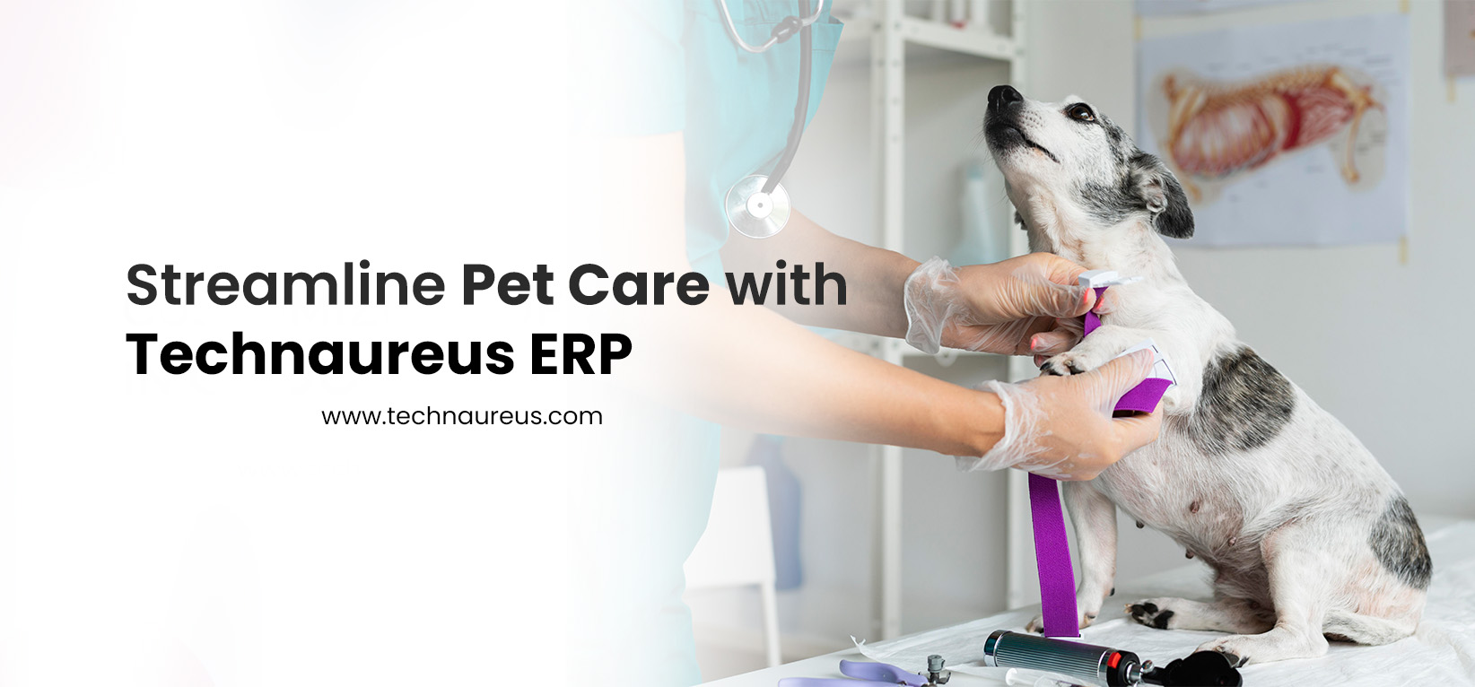 pet management software