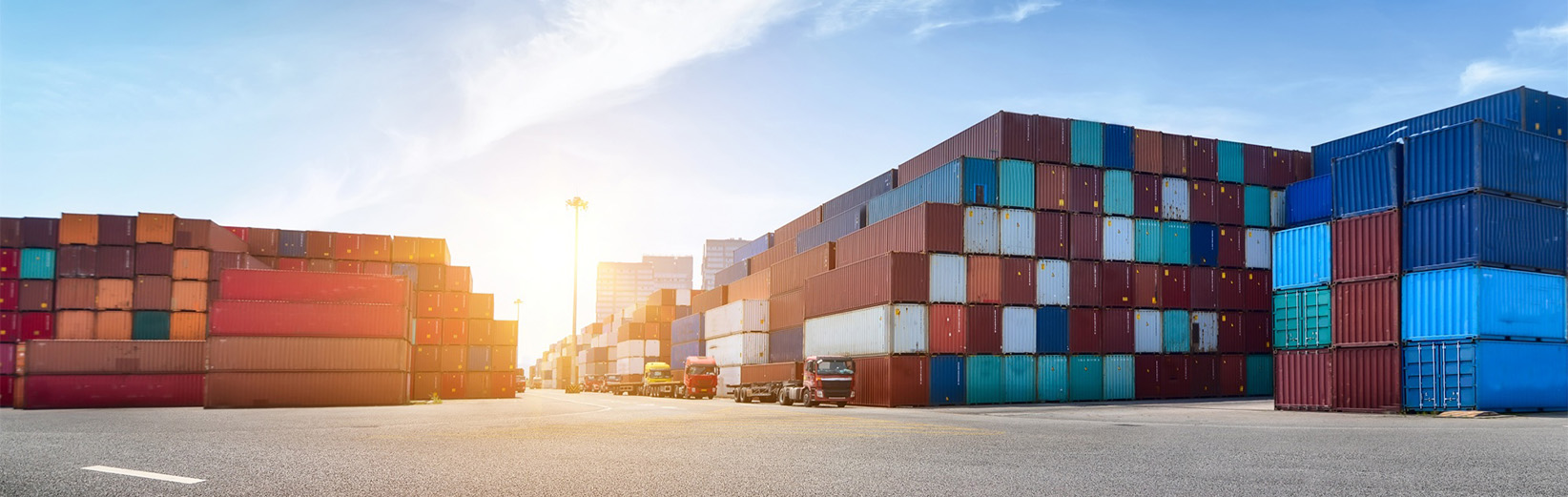 Maxon Freight Solutions, Odoo ERP Success, Case Study Logistics, ERP Implementation Journey, Freight Management Solutions, Successful Odoo Deployment, Logistics Efficiency Improvement, Freight Operations Optimization, Odoo ERP Impact, Logistics...