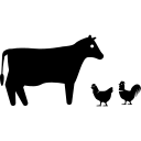 Livestock Industry